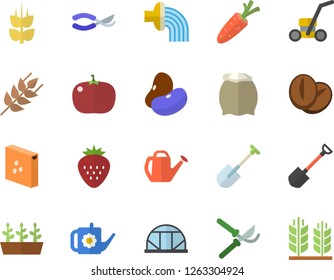 Icono plano de color conjunto harina vectorial plano, grañones, oreja, legumbres, granos de café, tomate, fresa, zanahoria, pala, secadores, lata de riego, mangueras de riego, plántulas, cortadora de césped, invernadero