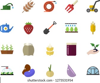 Color flat icon set flour flat vector, ear, legumes, garlic, onion, jam, Strawberry, sprinkling machine, pitchfork, shovel, hose, seedlings, watering can, lawn mower, greenhouse