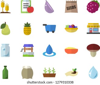 Color flat icon set flour flat vector, salad, porridge, garlic, blackberry, pineapple, pear, mushroom, seeds, ear, well, grain warehouse, seedlings, drop, glass bottles, diet, grocery trolley fector
