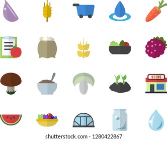 Color flat icon set flour flat vector, watermelon, mushroom, salad, porridge, garlic, blackberry, ear, carrot, grain warehouse, planting plants, greenhouse, drop, glass bottles, diet