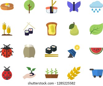 Color flat icon set flour flat vector, pancakes, watermelon, fish rolls, sashimi, pear, sandwich, ear, tree, ladybird, seedlings, butterflies, rain, solar battery, leaf, grocery trolley fector