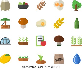 Color flat icon set flour flat vector, ear, lemon, mushroom, salad, scrambled eggs, seeds, well, tree, planting plants, seedlings, greenhouse, glass bottles, diet, drop
