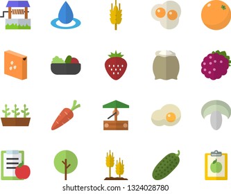 Color flat icon set flour flat vector, groats, mushroom, salad, cucumber, scrambled eggs, Strawberry, blackberry, orange, ear, well, carrot, tree, seedlings, drop, diet