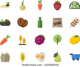 Color flat icon set flour flat vector, ear, lemon, salad, coffee beans, carrot, onion, scrambled eggs, Strawberry, blackberry, pear, seeds, tree, seedlings, greenhouse, glass bottles