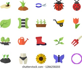 Color flat icon set flower flat vector, ladybird, pitchfork, secateurs, seedlings, watering can, planting plants, garden wheelbarrow, gumboots, tulip, butterflies, tree leaf, forest, waistline, hoop