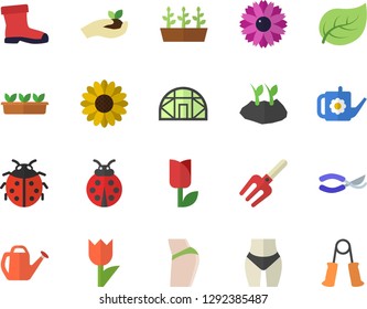 Color flat icon set flower flat vector, ladybird, pitchfork, secateurs, seedlings, watering can, planting plants, gumboots, tulip, greenhouse, tree leaf, buttocks, waistline, carpal expander