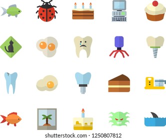 Color flat icon set food processor flat vector, fish, cupcake, piece of cake, scrambled eggs, ladybird, virus, caries, implant, computer, photo fector, pets allowed, shark