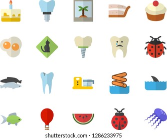 Color flat icon set food processor flat vector, watermelon, cupcake, piece of cake, fish, scrambled eggs, ladybird, caries, implant, balloon fector, aquapark, photo, pets allowed, shark, jellyfish