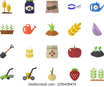 Color flat icon set garlic flat vector, onion, tomato, jam, Strawberry, ear, seeds, shovel, secateurs, watering can, planting plants, seedlings, lawn mower