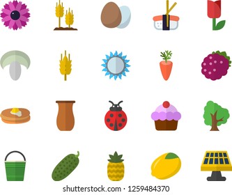 Color flat icon set gas flat vector, egg, jugful, lemon, pancakes, cake, mushroom, carrot, cucumber, sashimi, blackberry, pineapple, ear, tree, flower, ladybird, bucketful, tulip, solar battery