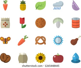 Color flat icon set gas flat vector, flour, ham, biscuit, bagel, canned food, mushroom, coffee beans, carrot, garlic, tomato, pineapple, seeds, flower, tulip, butterflies, rain, tree leaf, drop