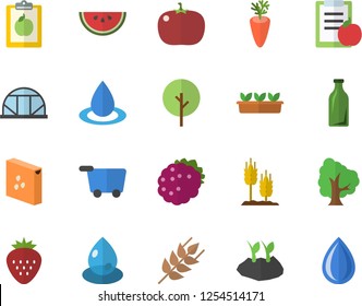 Color flat icon set groats flat vector, ear, watermelon, carrot, tomato, Strawberry, blackberry, tree, planting plants, seedlings, greenhouse, drop, glass bottles, diet, grocery trolley fector