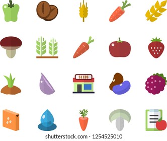 Color flat icon set groats flat vector, legumes, mushroom, coffee beans, carrot, garlic, bell pepper, tomato, Strawberry, blackberry, ear, grain warehouse, planting plants, drop, diet