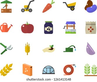 Color flat icon set groats flat vector, legumes, garlic, tomato, jam, seeds, ear, well, carrot, hose, secateurs, seedlings, watering can, garden wheelbarrow, lawn mower, greenhouse