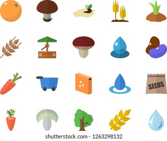 Color flat icon set groats flat vector, ear, legumes, mushroom, carrot, orange, seeds, well, tree, seedlings, planting plants, drop, grocery trolley fector