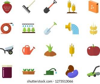 Color flat icon set groats flat vector, legumes, tomato, jam, Strawberry, ear, sprinkling machine, shovel, hose, rake, watering can, planting plants, irrigation, garden wheelbarrow, seedlings