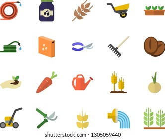 Color flat icon set groats flat vector, ear, coffee beans, onion, jam, carrot, hose, secateurs, seedlings, rake, watering can, irrigation, garden wheelbarrow, lawn mower