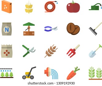 Color flat icon set groats flat vector, ear, coffee beans, tomato, seeds, fertilizer vectory, well, carrot, sprinkling machine, pitchfork, shovel, hose, secateurs, rake, irrigation, lawn mower