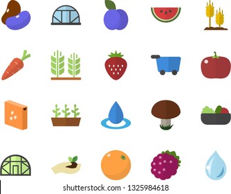 Color flat icon set groats flat vector, legumes, watermelon, salad, tomato, Strawberry, blackberry, plum, orange, mushroom, ear, carrot, seedlings, greenhouse, drop, grocery trolley fector