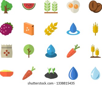 Color flat icon set groats flat vector, watermelon, porridge, coffee beans, scrambled eggs, blackberry, seeds, ear, carrot, tree, planting plants, drop