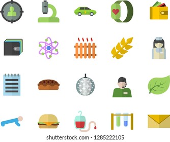 Color flat icon set hamburger flat vector, pie, tree leaf, electric cars, radiator, target audience, purse, telephone operator, blood transfusion, microscope, nurse, atom, notepad, beakers, ear