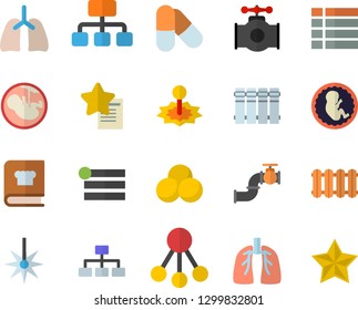 Color flat icon set heating batteries vector, flat, cookbook, main pipeline, laser, hierarchy, embryo, lungs, classification, pills, menu, favorites