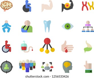 Color flat icon set hierarchy flat vector, target audience, team, blood transfusion, disabled, injury, eye, chromosomes, tooth, stomach, recruitment, brain, fector, muscles, gymnastics, indicate