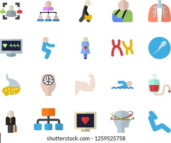 Color flat icon set hierarchy flat vector, blood transfusion, computer diagnostics of health, injury, headache, gestation, chromosomes, sperm, stomach, lungs, recruitment, businessman, brain fector