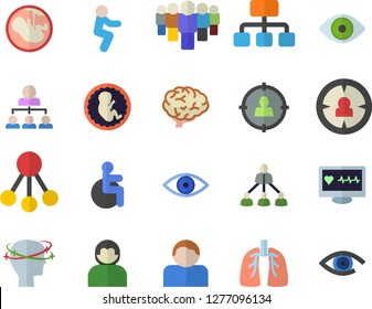 Color flat icon set hierarchy flat vector, target audience, team, computer diagnostics of health, disabled, eye, headache, embryo, lungs, brain, squats, user