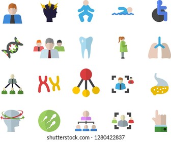 Color flat icon set hierarchy flat vector, person, team, disabled, headache, gestation, chromosomes, sperm, tooth, stomach, lungs, recruitment, dna, swimming, gymnastics, indicate