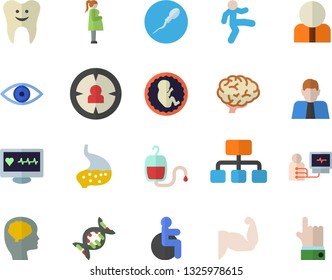 Color flat icon set hierarchy flat vector, person, target audience, blood transfusion, computer diagnostics of health, disabled, eye, embryo, gestation, sperm, tooth, stomach, dna, brain, fector