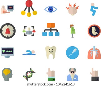 Color flat icon set hierarchy flat vector, target audience, computer diagnostics of health, eye, embryo, gestation, sperm, tooth, lungs, recruitment, brainstorm, scientist, dna, brain fector, squats