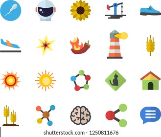 Color flat icon set hot peppers flat vector, ear, flower, oil pumping, lighthouse, molecules, sperm, spark, brain, astronaut helmet fector, sneakers, arrival, sun, pets allowed, house, chat