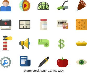 Color flat icon set house layout flat vector, calculator, repair, tomato, cheese, pie, ham, lawn mower, greenhouse, lighthouse, dollar, news, stamp, pen, core of the earth fector, vitamins, whistle