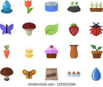 Color flat icon set jugful flat vector, cake, egg, canned food, carrot, Strawberry, ear, mushroom, seeds, home plant, ladybird, planting plants, tulip, seedlings, butterflies, tree leaf, drop