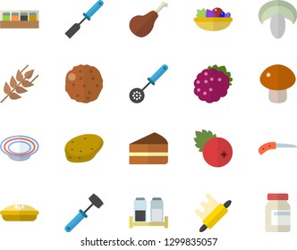 Color flat icon set kitchen spatula flat vector, spoon, rolling pin, meat hammer, spice, potato, ham, ear, mushroom, piece of cake, dish, salad, pie, cutlet, cranberry, blackberry, knife, vitamins