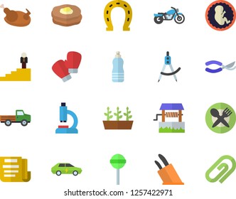 Color flat icon set knives flat vector, chicken, lollipop, pancakes, well, pickup truck, horseshoe, secateurs, seedlings, electric cars, dividers, microscope, embryo, document, career ladder, water