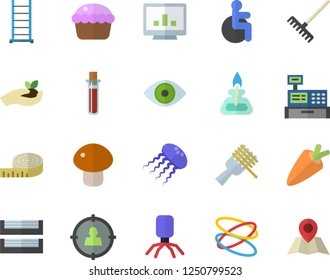 Color flat icon set ladder flat vector, carrot, spaghetti on a fork, mushroom, cupcake, seedlings, rake, target audience, cash machine, blood test, disabled, virus, eye, computer chart, paper tray