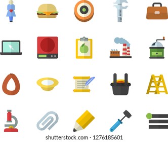 Color flat icon set ladder flat vector, weighing machine, meat hammer, coffee grinder, sausage, hamburger, dish, factory, metallurgy, trammel, briefcase, gestation, clip, pencil, laptop, microscope