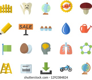Color flat icon set ladder flat vector, egg, mushroom, fence, watering can, flag, sell out, barcode, broken tooth, lungs, molecule, pencil, globe, brain fector, motorcycle, download, drop