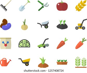 Color flat icon set legumes flat vector, onion, tomato, carrot, shovel, secateurs, rake, watering can, planting plants, garden wheelbarrow, seedlings, lawn mower, greenhouse, fertilizer vectory, ear
