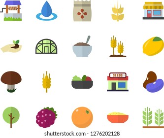 Color flat icon set legumes flat vector, lemon, salad, porridge, blackberry, ear, orange, mushroom, seeds, well, tree, grain warehouse, seedlings, greenhouse, drop