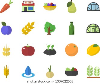 Color flat icon set lemon flat vector, salad, onion, tomato, plum, pear, ear, orange, carrot, tree, grain warehouse, planting plants, greenhouse, drop, glass bottles
