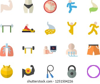Color flat icon set massage flat vector, diagnostics, embryo, stomach, lungs, barbell, weight, muscles, waistline, skipping rope, athletic shorts, fitball, gymnastics, run, hoop