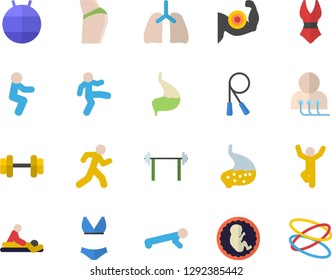 Color flat icon set massage flat vector, diagnostics, embryo, stomach, lungs, dumbbell, barbell, muscles, buttocks, skipping rope, fitball, swimsuit, gymnastics, squats, push up, run, hoop