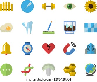 Color flat icon set measure flat vector, tile, mushroom, whiskey, scrambled eggs, honeycomb, flower, fence, magnet, DNA, sperm, broken tooth, office building, dumbbell, compass fector, bell, chat