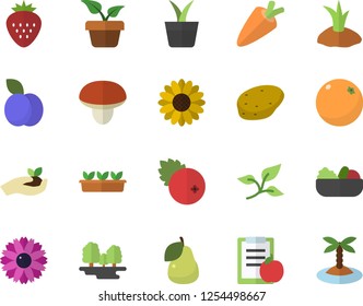 Color flat icon set mushroom flat vector, potato, carrot, salad, cranberry, Strawberry, plum, pear, orange, home plant, flower, seedlings, planting plants, tree leaf, forest, diet, island fector