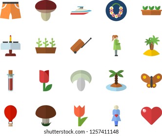 Color flat icon set mushroom flat vector, tulip, seedlings, butterflies, blood test, gestation, athletic shorts, balloon fector, luggage, island, hawaiian wreath, romantic dinner, yacht, heart