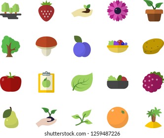 Color flat icon set mushroom flat vector, potato, tomato, salad, Strawberry, blackberry, plum, pear, orange, home plant, tree, flower, seedlings, leaf, forest, diet, island fector