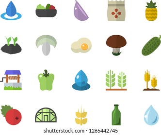 Color flat icon set mushroom flat vector, salad, garlic, bell pepper, cucumber, scrambled eggs, cranberry, pineapple, ear, seeds, well, planting plants, greenhouse, drop, glass bottles